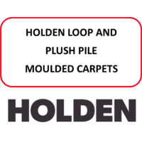 Holden Loop And Plush Pile Moulded Carpets